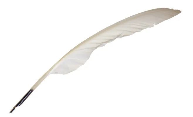 放羊娃的人生有没有意义_放羊娃事件怎么处理_