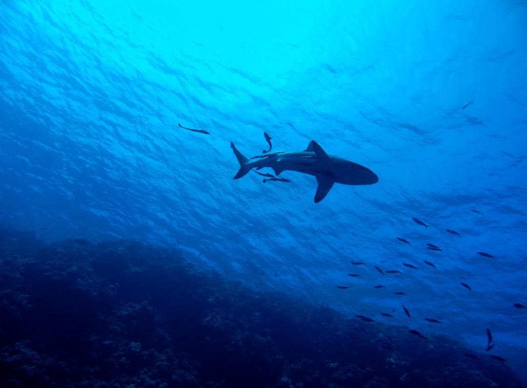 震撼消息不断，一切都变了？很多事情依然迫在眉睫_震撼消息不断，一切都变了？很多事情依然迫在眉睫_